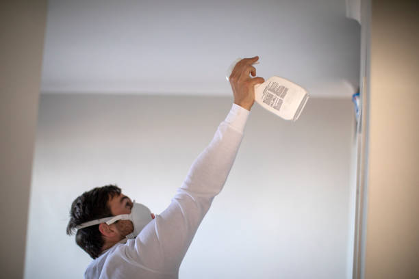 Certified Mold Removal in Urania, LA