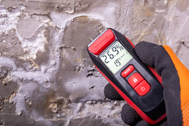 Best Emergency Mold Removal  in Urania, LA