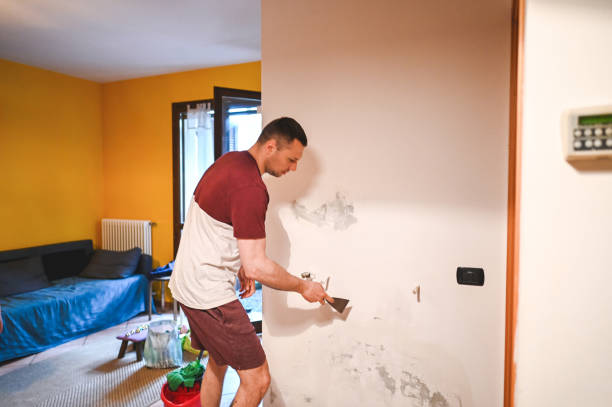 Professional Mold Removal in Urania, LA